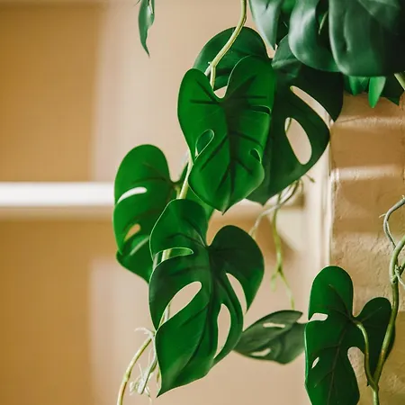 Апартаменты Les Dunes - Jardin Privatif - A 500 Metres