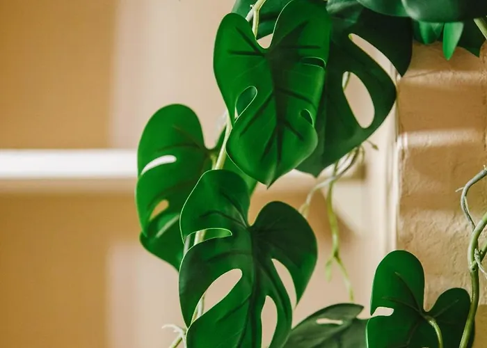 Apartmán Les Dunes - Jardin Privatif - A 500 Metres